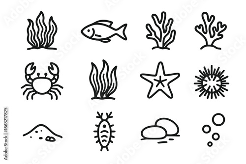 Marine Life Icons. Outline icon set of fish and flora in kelp habitats: kelp leaves, fish, algae, coral, crab,