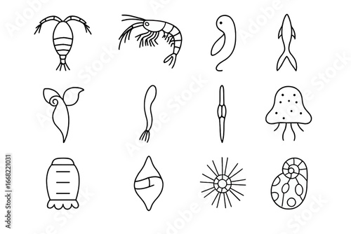 Plankton Icons Grid. Outline icon set of planktonic organisms: copepod, krill, amphipod, pteropod, larvacean,