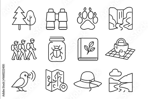 Nature Exploration Icons. Outline vector icons of friends exploring nature: trees, binoculars, wildlife print,