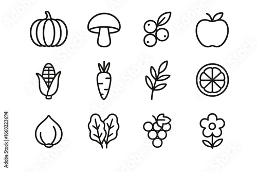 Seasonal Wild Food Icons. Outline icon set of seasonal wild food: pumpkin, mushroom, berry, apple, corn, root