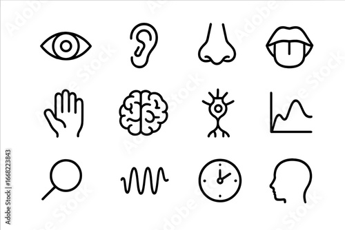 Sensory Memory Icons. Outline icon set of sensory memory: eye, ear, nose, tongue, hand, brain, neuron, chart,