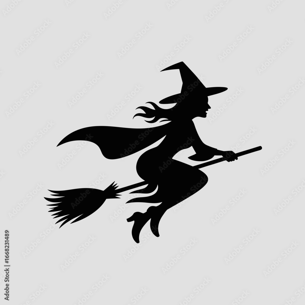 Obraz premium witch on a broom