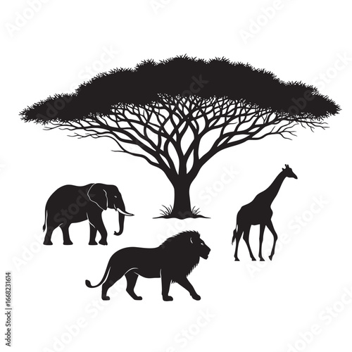 African safari silhouette elephant lion giraffe under acacia tree wildlife scene
