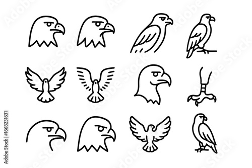 Birds of Prey Icons. Outline icon set of birds of prey: eagle, hawk, falcon, buzzard, kite, osprey, vulture,
