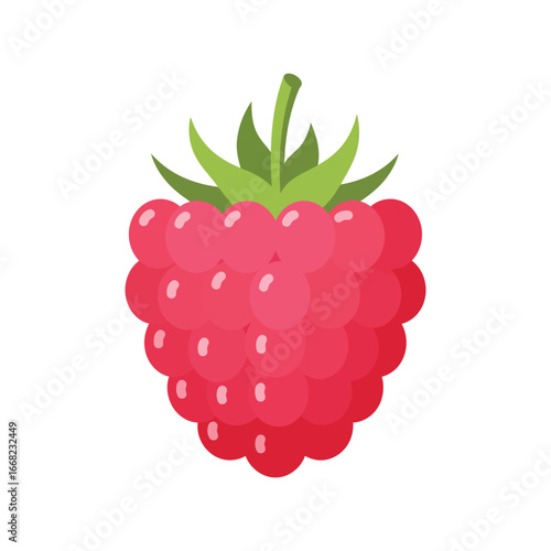 Fresh raspberry vector illustration sweet berry fruit healthy food icon isolated eps graphic