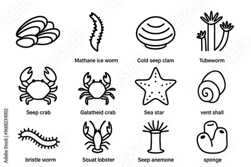 Cold Seep Species Icons. Outline icon set of cold seep species: mussel bed, methane ice worm, cold seep clam,
