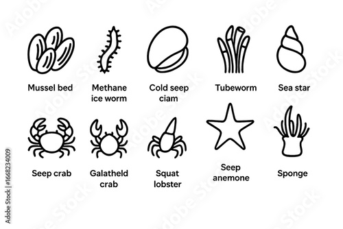 Cold Seep Species Icons. Outline icon set of cold seep species: mussel bed, methane ice worm, cold seep clam,