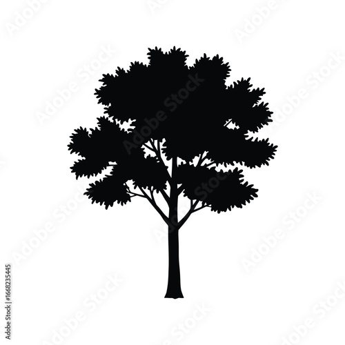 Black silhouette of a deciduous tree isolated on white background vector illustration