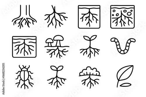 Deep Root Icons. Outline icon set of deep root systems: tree trunk, root spread, soil layers, rocks,