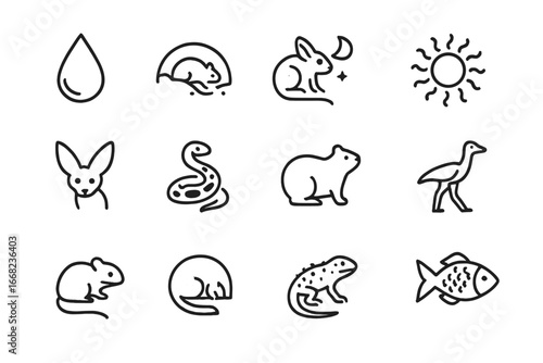 Desert Adaptations Icons. Outline icon set of desert adaptations: water retention, burrowing, nocturnal
