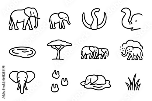 Elephant Family Icons. Outline icon set of elephant family structure: matriarch, calf, tusks, trunk, watering