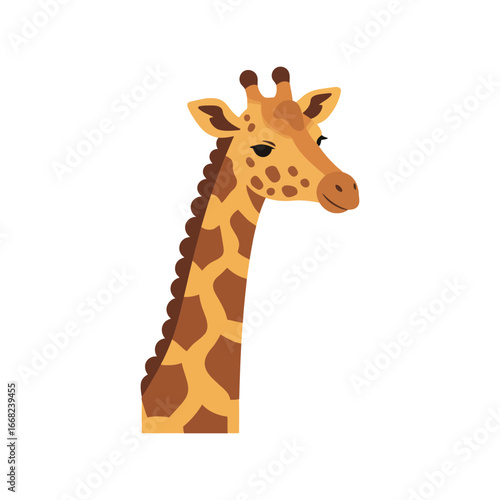 Cute giraffe head illustration safari animal portrait african wildlife art zoo baby giraffe vector graphic