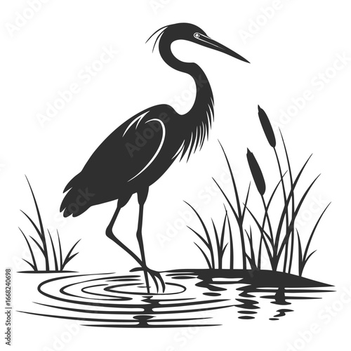 Heron fishing in tidal pool silhouette