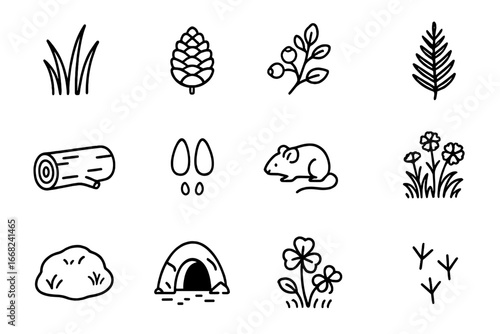 Forest Icon Collection. Outline icon set of forest and meadow: tall grass, pine cone, wild berry, fern leaf,