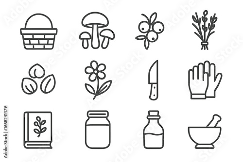 Forest Foraging Icon Set. Outline icon set of forest foraging: basket, mushrooms, berries, wild herbs, nuts,