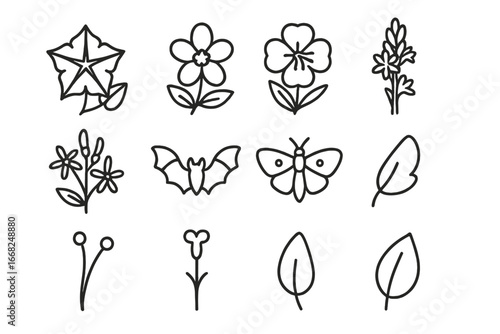 Night-Blooming Flower Icons. Outline icon set of night-blooming flowers: moonflower, jasmine, evening primrose