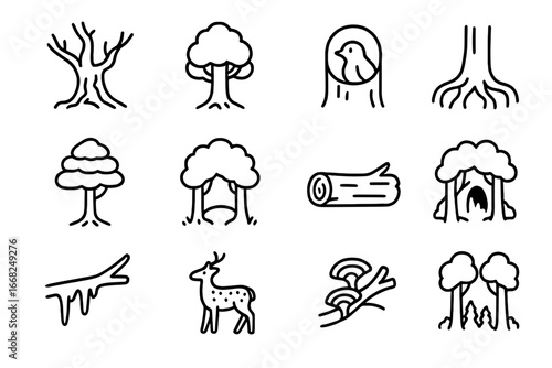 Old-Growth Forest Icons. Outline icon set of old-growth forests: ancient tree, wide trunk, nesting bird, thick