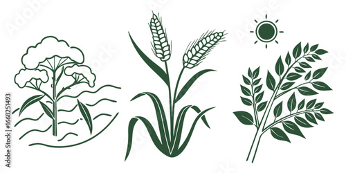 Three stylized green plant illustrations including wheat stalks a leafy branch and a tree with wavy lines
