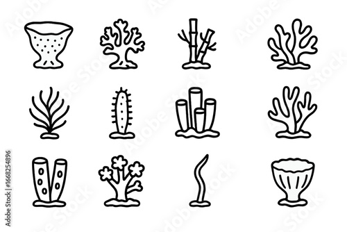 Sponge and Coral Icons. Outline icon set of sponge and coral species: glass sponge, deep-sea coral, bamboo