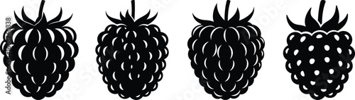 Black and White Blackberry or Raspberry Vector Silhouettes
