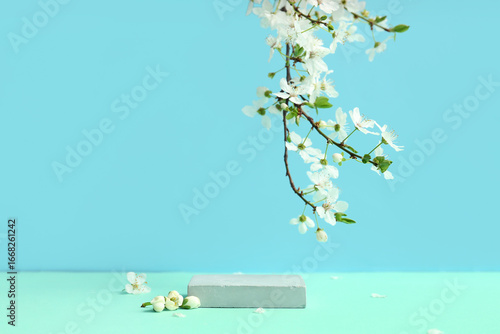 Spring cherry blossom branc...