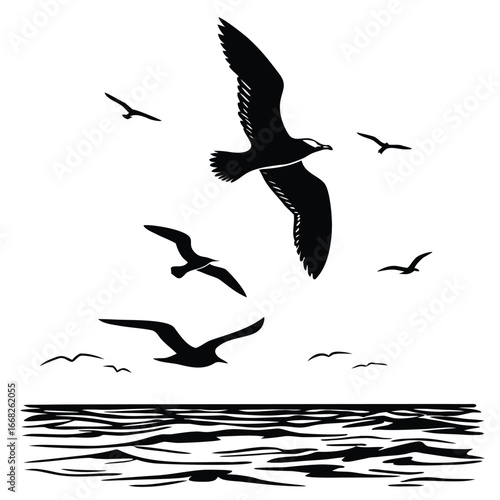 Gulls soaring over open sea silhouette