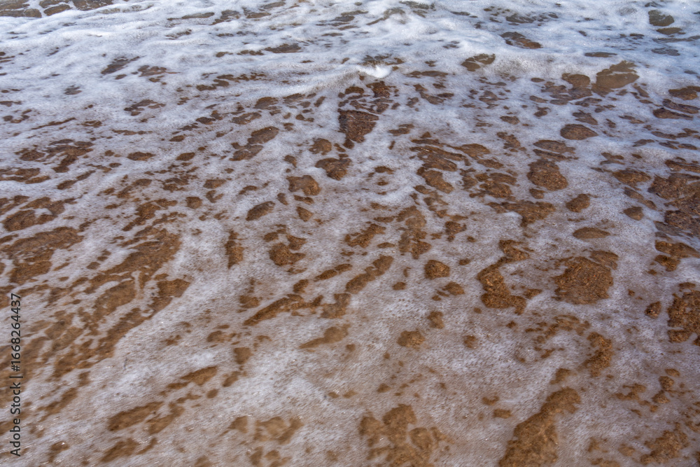 Obraz premium Baltic sea seaside waves sand water beach marine landscape