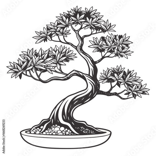 Hand drawn bonsai tree in a pot