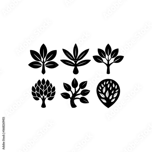 6 different almond tree silhouette vector icons se