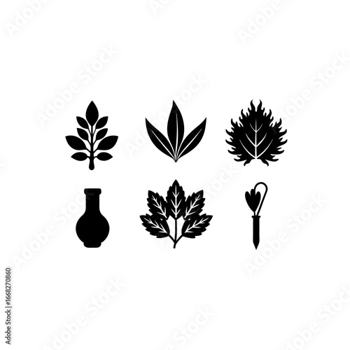 6 different cutting herbs silhouette vector icons 