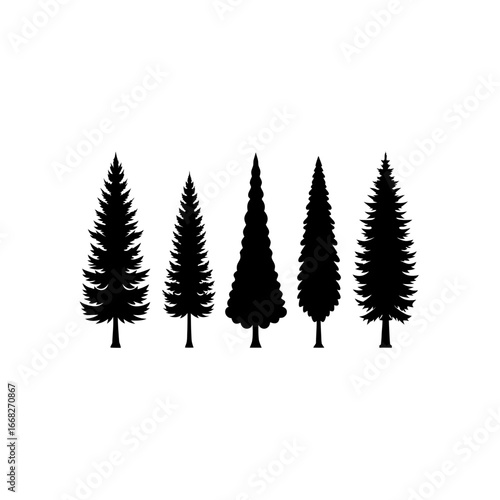 5 different cypress tree silhouette vector icons s