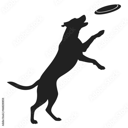 Dog catching frisbee silhouette
