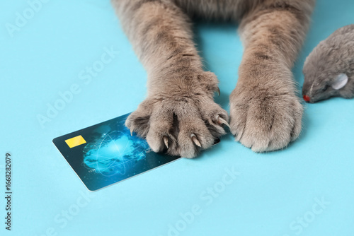 Paws of cute cat with credi...