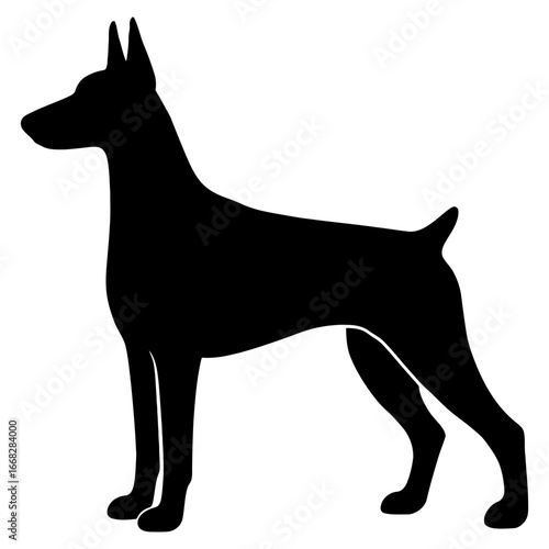 Doberman Pinscher dog silhouette strong guard loyal working breed outline