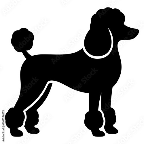 Poodle dog silhouette elegant intelligent hypoallergenic pet groomed outline