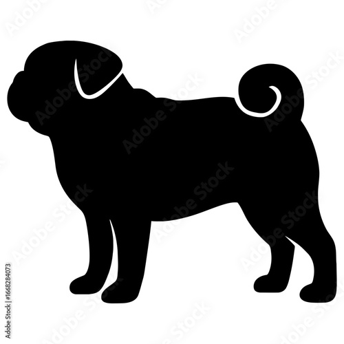 Pug dog silhouette small toy breed curled tail playful affectionate pet outline