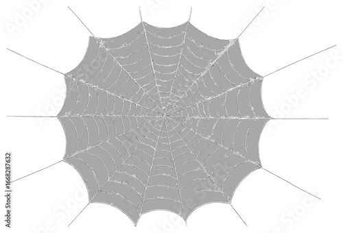 Intricate dewy spiderweb vector: nature's web artistry - ideal for halloween themes