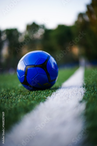 soccer football ball on the grass