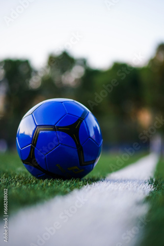 soccer football ball in the grass