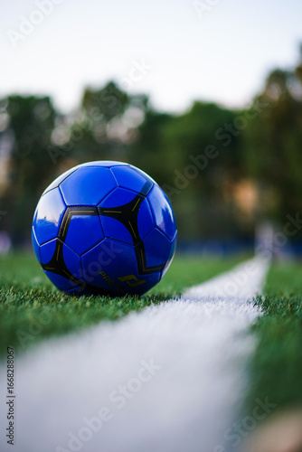 soccer football ball on the grass