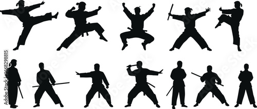 Martial arts silhouettes of karate, kung fu, taekwondo poses with weapons, training stances, combat kicks, fighter movements illustration vector