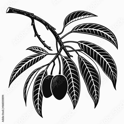palm tree silhouette