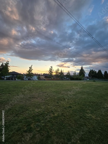sunset over the field