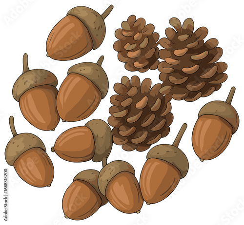 Autumn acorn arrangement vector for thanksgiving decor and seasonal designs