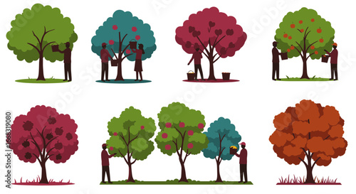 Seasonal tree care silhouettes: gardening and harvesting in different seasons
