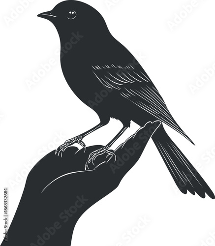 Silhouette of a small bird perched calmly on a human hand isolated on white background