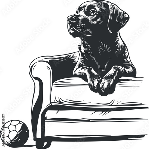 Black and white vector illustration of a dog resting on a sofa with a ball nearby in a home setting.