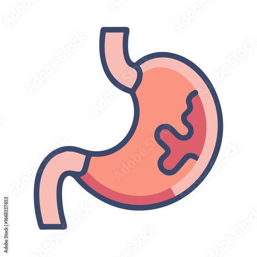 Simple flat vector illustration of human stomach anatomy