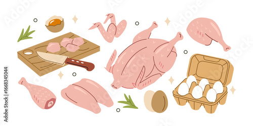 Fresh raw chicken meat and eggs set. Breasts filet, drumsticks, thighs, wings and other poultry carcass parts and products. Grocery market concept. Vector illustration.