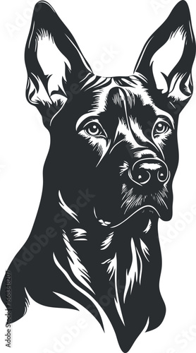 Black and white artistic portrait of a Doberman dog with alert ears and watchful expression